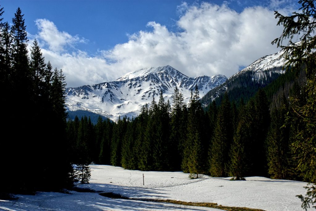 Krajobraz zaśnieżonych Tatr